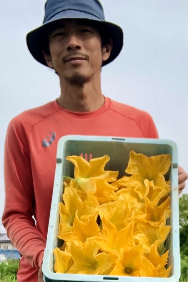 花ズッキーニの食べ方